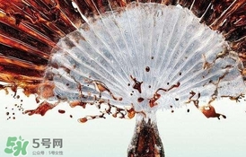 运动完可以喝可乐吗?,剧烈运动完可以喝可乐吗 运动完可以喝可乐吗?,剧烈运动完可以喝可乐吗