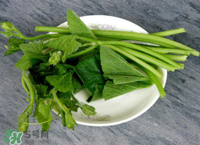 南瓜叶怎么炒好吃又简单的做法,南瓜叶怎么炒好吃 南瓜叶怎么炒好吃又简单的做法,南瓜叶怎么炒好吃