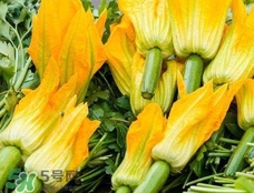 南瓜的花朵能吃吗,南瓜花可以吃吗?有什么作用?