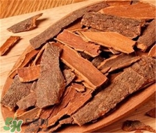 肉桂的功效和作用,肉桂对男性性功能的效果