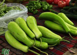 苦瓠子有毒吗 怎么解毒,苦瓠子有毒吗