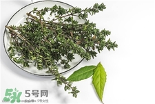 百香果,迷迭香 百香果,迷迭香