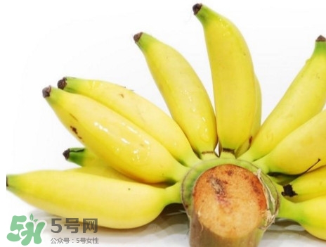 香蕉是转基因的吗,皇帝蕉和苹果蕉一样吗