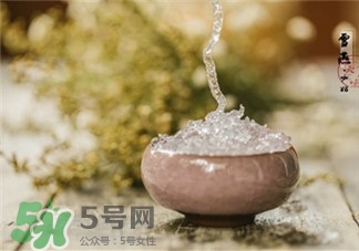雪燕的功效和作用,正宗的雪燕多少钱一斤 雪燕的功效和作用,正宗的雪燕多少钱一斤