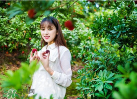 仙居杨梅哪里最好吃,仙居杨梅哪里最好