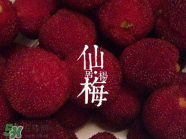 仙居杨梅价格多少钱一斤2021,仙居杨梅多少钱一斤现在