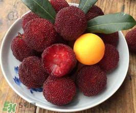 仙居杨梅几月份上市2020,仙居杨梅几月份上市?仙居杨梅什么时候上市?