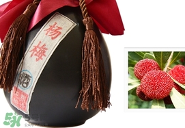 杨梅酒好喝还是青梅酒好喝,杨梅酒跟白酒哪个厉害