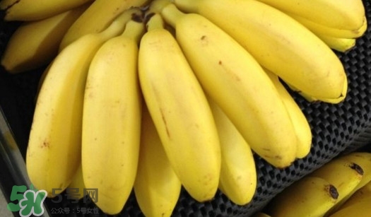 芭蕉怎么保存时间长,芭蕉怎么存放才能放得久