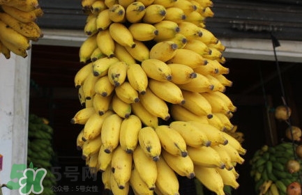 孕妇可以吃芭蕉吗,孕妇可以吃芭蕉吗初期