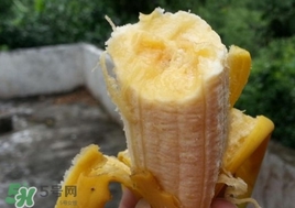 芭蕉能和蜂蜜一起吃吗?,蜂蜜能不能和香蕉同吃