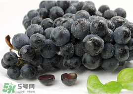 无籽葡萄孕妇可以吃吗,葡萄籽孕妇可以吃不?