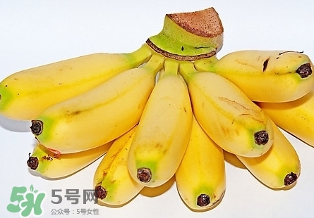 芭蕉性温还是性寒,芭蕉是寒性还是热性食物