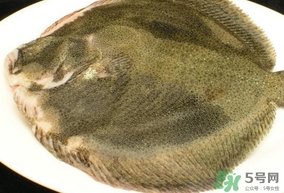 多宝鱼怎样宰杀处理,多宝鱼如何处理干净 多宝鱼怎样宰杀处理,多宝鱼如何处理干净