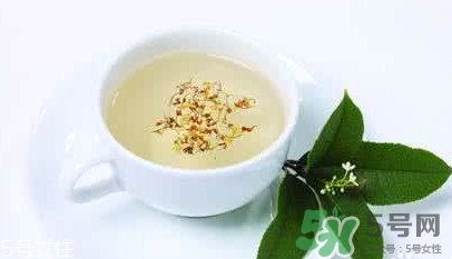 葛根茶多少钱一斤,葛根茶多少钱一盒