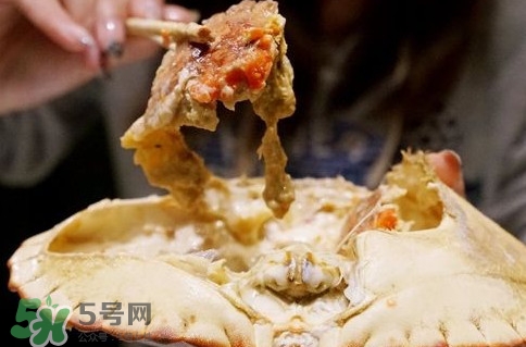 面包蟹什么季节吃最好吃,面包蟹什么季节吃最合适