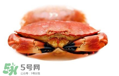 熟冻面包蟹好吃吗,熟冻面包蟹能吃吗 熟冻面包蟹好吃吗,熟冻面包蟹能吃吗