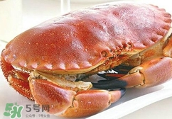 熟冻面包蟹蒸多长时间可以吃,熟冻面包蟹蒸多久