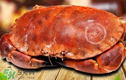 面包蟹可以冷冻吗,面包蟹可以冻起来吗