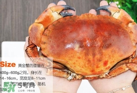 面包蟹如何清洗,面包蟹如何清洗视频