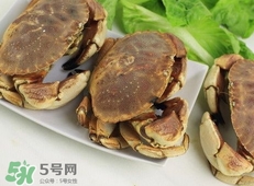 黄道蟹和面包蟹有什么区别,面包蟹的蟹黄