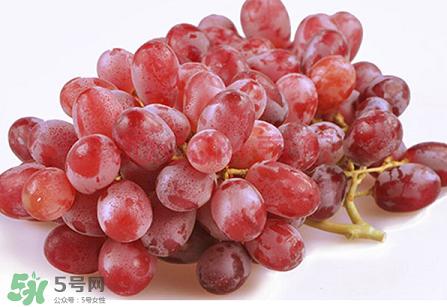 提子为什么会涩,提子为什么会涩口