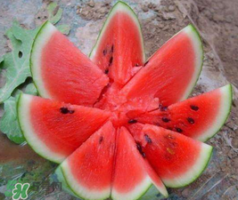 麒麟瓜和8424的区别,麒麟瓜和8424的区别生熟辩别