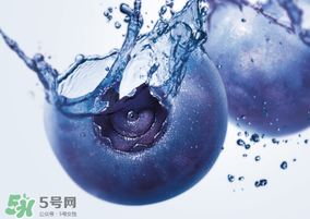 蓝莓热量高吗减肥能吃吗,蓝莓热量高吗?