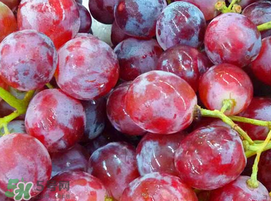 提子一天吃多少个合适,提子一天吃多少颗合适