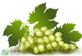 青提不能和什么一起吃?,青提不能和什么一起吃/同吃