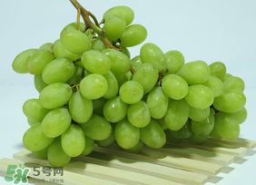 青提可以吃皮吗,青提要剥皮吃吗