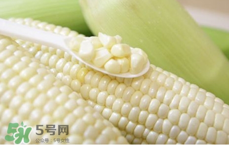 什么样的玉米是转基因玉米,花甜糯玉米是转基因吗