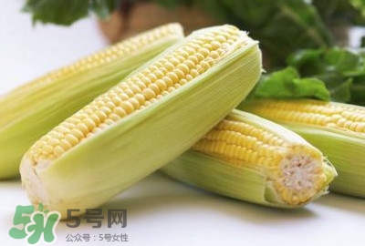 水果玉米可以多吃吗,吃完玉米可以吃水果吗