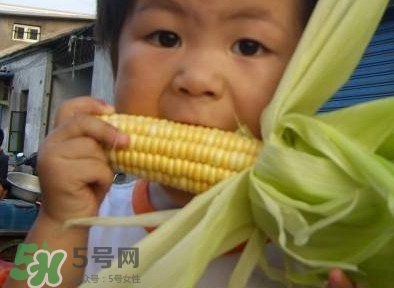 水果玉米是甜玉米吗,水果玉米是甜的吗