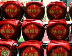 自己泡的杨梅酒可以带上高铁吗,杨梅酒可以带上高铁吗?