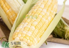 水果玉米价格多少钱一斤,水果玉米多少钱一个