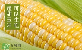 水果玉米是转基因的吗孩子能吃吗,黄色的水果玉米是转基因的吗