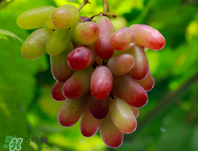 提子热量高吗,减肥期间能吃吗,提子热量高吗易长胖吗