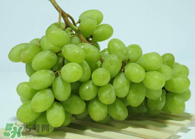 青提是凉性还是热性水果,青提是凉性还是热性的