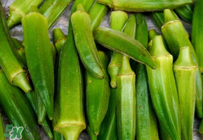 秋葵为什么有粘液 秋葵粘液怎么处理?,秋葵为什么有粘液