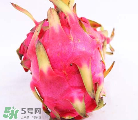 新鲜火龙果怎么保存时间长,火龙果怎么保存时间长放冰箱里吗 新鲜火龙果怎么保存时间长,火龙果怎么保存时间长放冰箱里吗