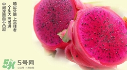 如何识别红心火龙果和白心火龙果,火龙果如何分辨白心和红心