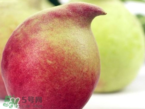 鹰嘴桃种植技术,鹰嘴桃适合哪个地区种