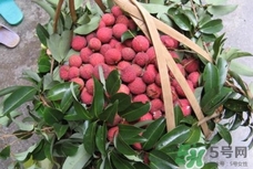 桂味和糯米糍哪个好吃,桂味和糯米糍哪个贵