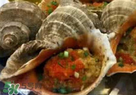 死海螺能吃吗,有没有毒,死海螺能吃吗