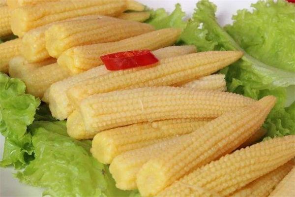 玉米笋热量高吗,玉米笋的热量 玉米笋热量高吗,玉米笋的热量