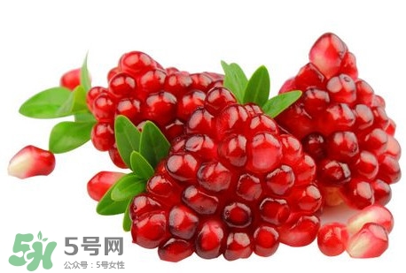 番石榴是什么水果,榴莲是什么季节吃