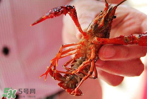 盱眙龙虾节什么时候,2020年盱眙龙虾节 盱眙龙虾节什么时候,2020年盱眙龙虾节