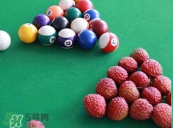 荔枝王的产地是哪里,荔枝王是什么品种