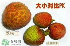 荔枝王好吃吗,荔枝王好吃吗 无核荔枝